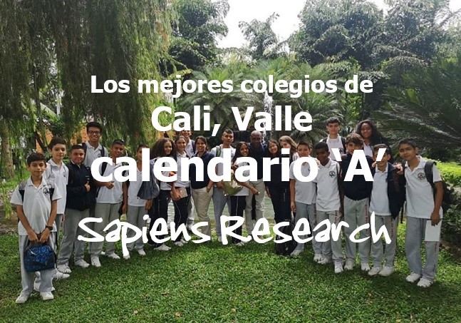 Ranking De Los Mejores Colegios De Cali, Valle Calendario ‘A’ 2019-2020